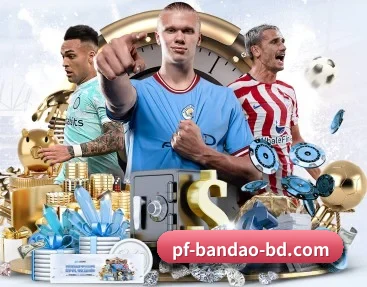 半岛体育平台 APP（BANDAO SPORTS）